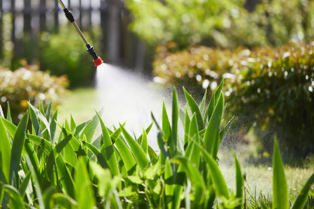 24/7 Emergency Cockroach Control experts in Jonesville, MI