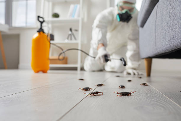 Trusted Fumigation Services service in Jonesville, MI - Nex Pest Control