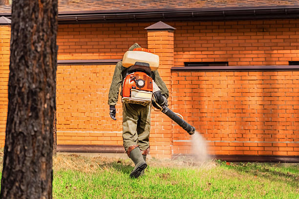 Trusted Ant Control service in Jonesville, MI - Nex Pest Control